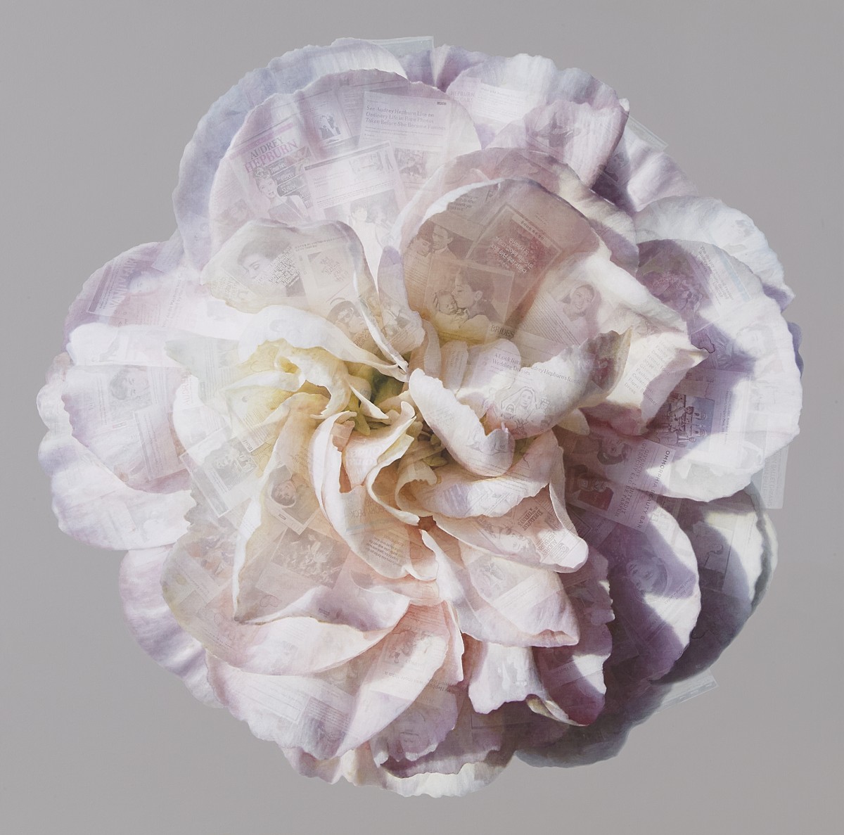 Kim Hyun Ju
Neo-Flower 2503
: The Flower of Audrey Hepburn

2025
Acrylic on canvas
29.1x28.7inch