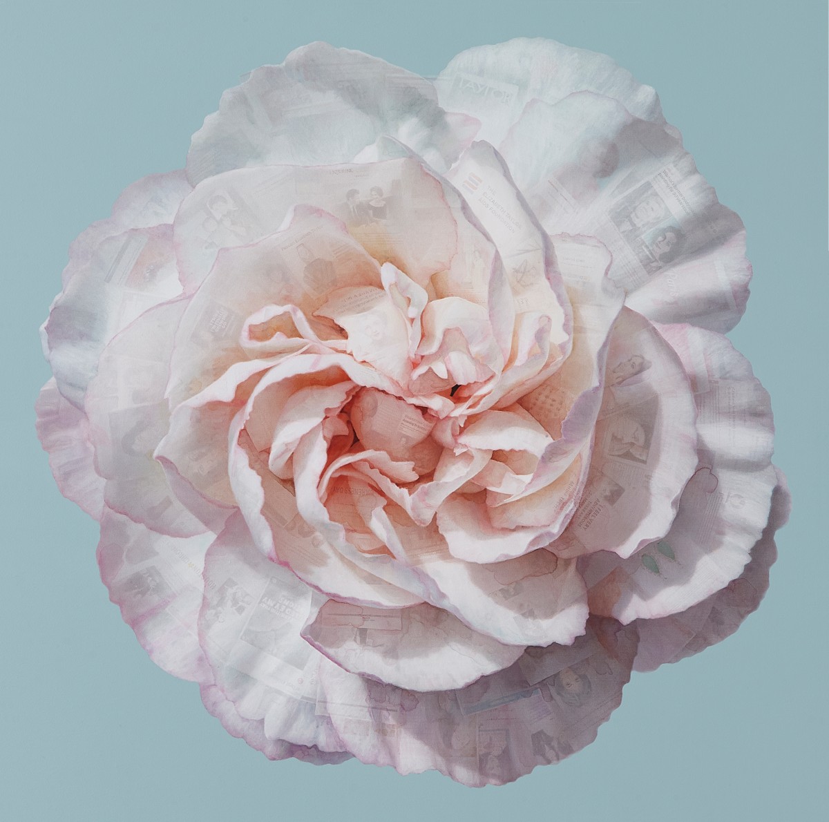 Neo-Flower 2421
: The FLower of Dame Eilzabeth Taylor
《Hyunju Kim》

Mixed media on canvas
61.5x61.0cm
2024