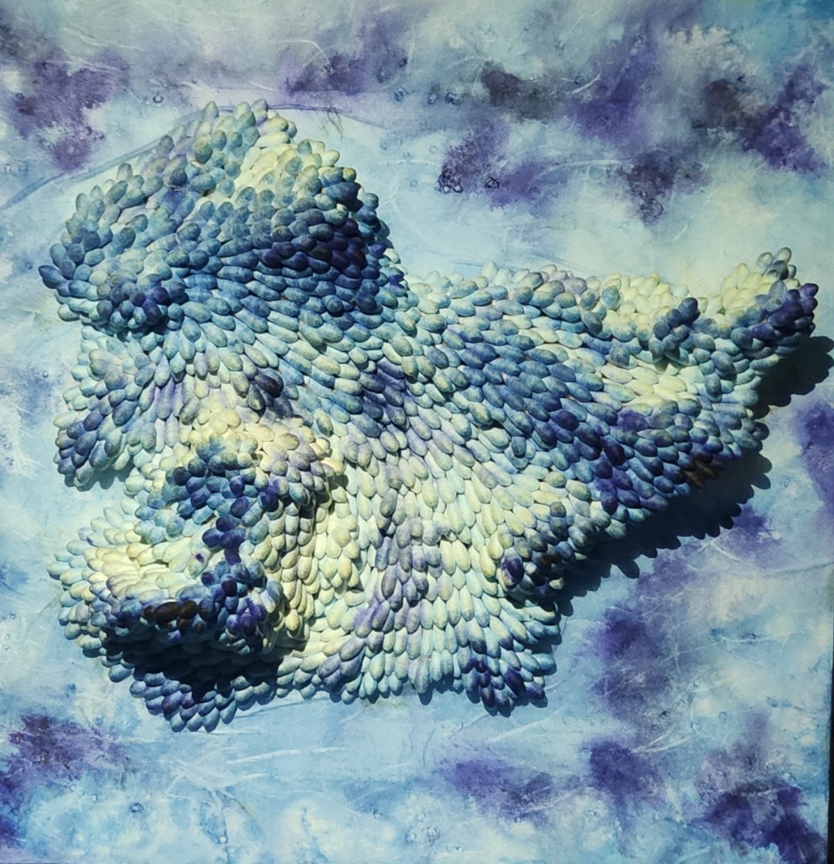 Blue forest 03

Seung Ryong Kang
Swab, Korea paper, Dye
30x30cm
2025