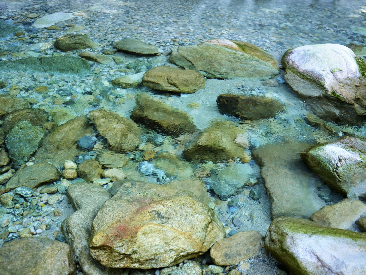 Sea Garden_020873, Seorak Valley

2021
Pigments on Artpaper
109x142cm
Edition No. 1/10